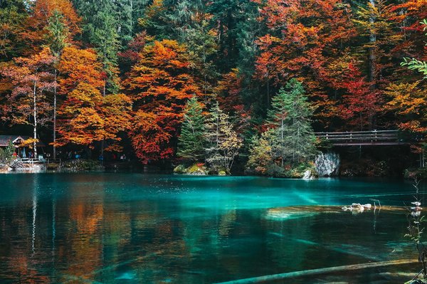 Visto turistico usa: guida rapida per la tua avventura negli usa